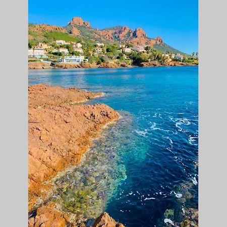 Apartamento Antheor - Vue Exceptionnelle - Refait A Neuf 4 Couchages Saint-Raphaël Exterior foto