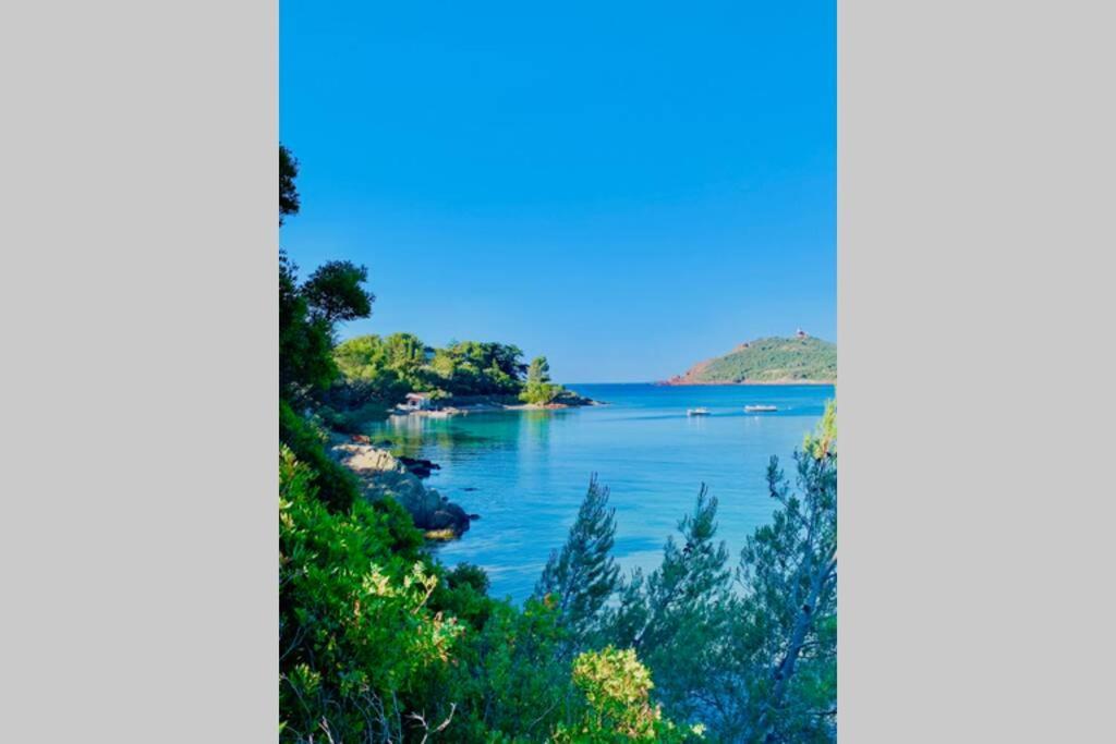Apartamento Antheor - Vue Exceptionnelle - Refait A Neuf 4 Couchages Saint-Raphaël Exterior foto