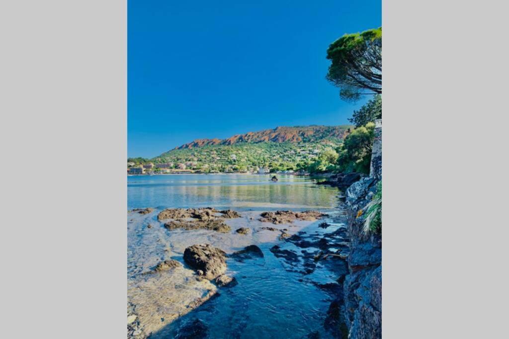 Apartamento Antheor - Vue Exceptionnelle - Refait A Neuf 4 Couchages Saint-Raphaël Exterior foto